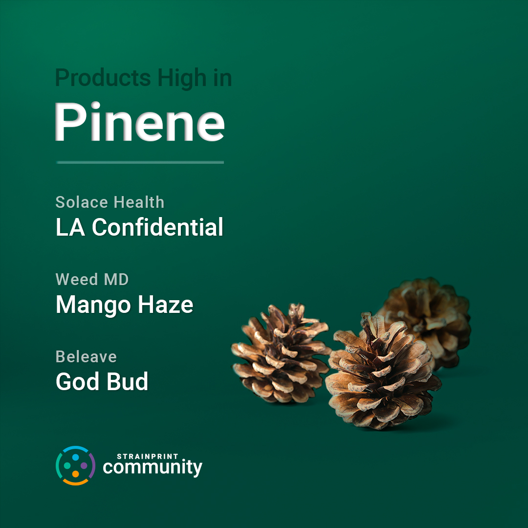 Understanding Terpenes Pinene Strainprint Technologies Inc.