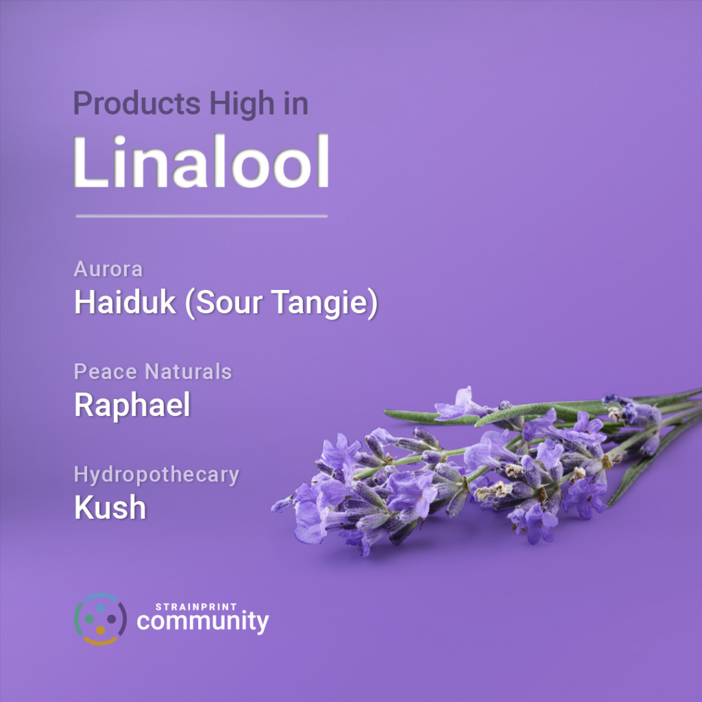 Understanding Terpenes Linalool Strainprint Technologies Inc.