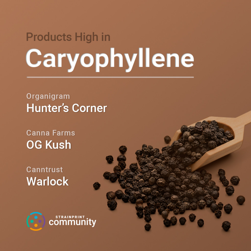 Understanding Terpenes — BetaCaryophyllene Strainrpint