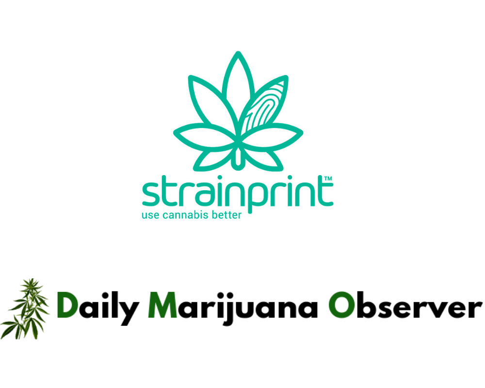 Daily Marijuana Observer - Better Know a CTO Strainprint