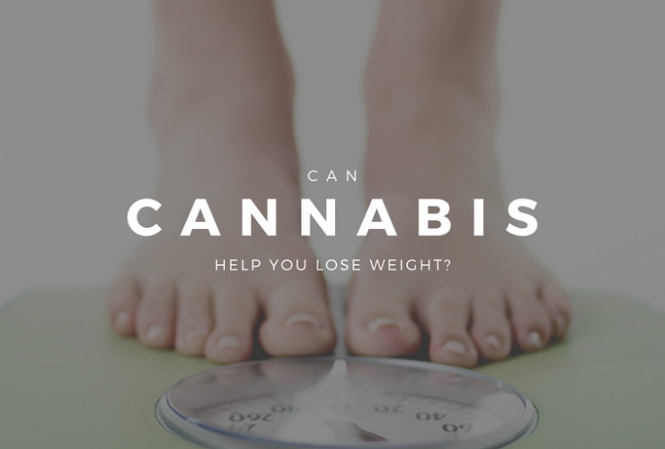 Cannabis Weight Loss