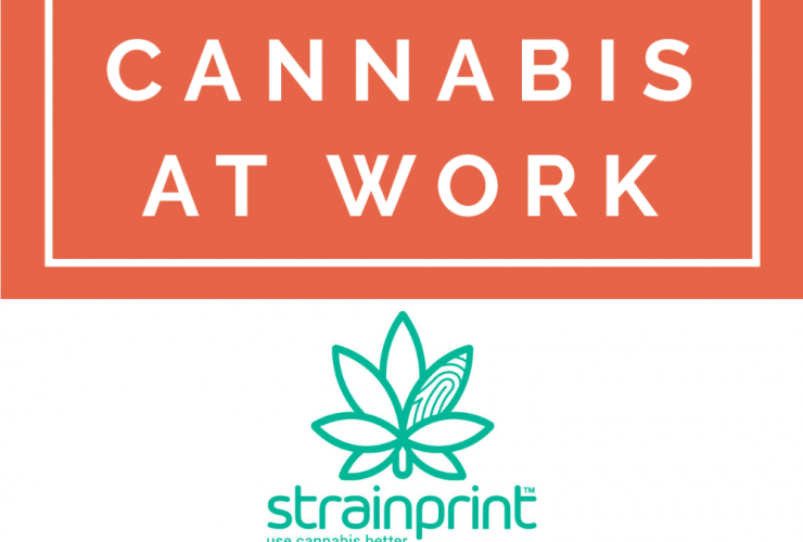 Cannabis At Work