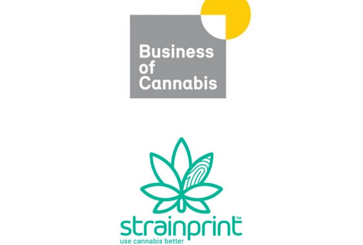 Business of Cannabis