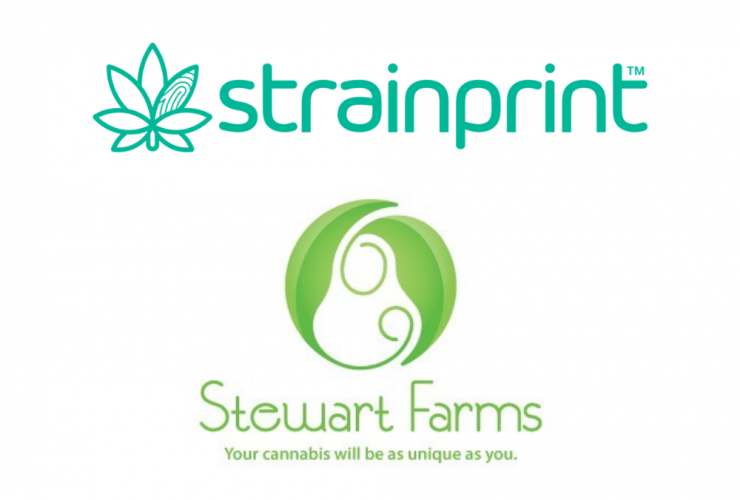 Stewart Farms