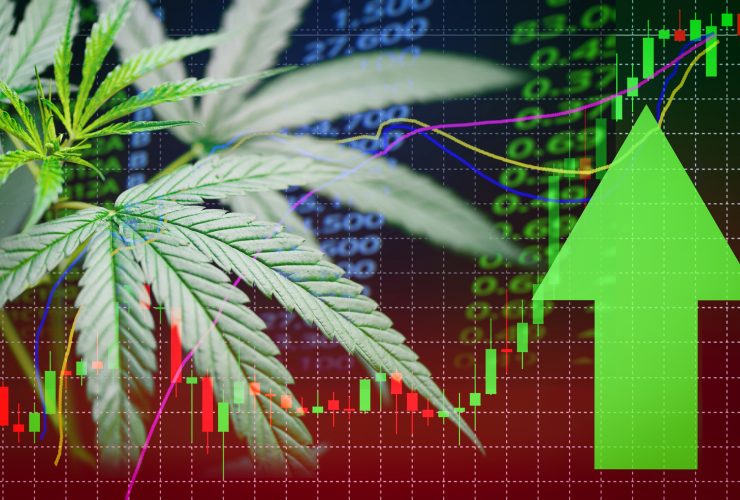 Cannabis Stocks