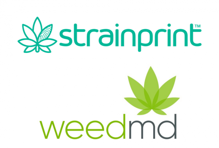 WeedMD