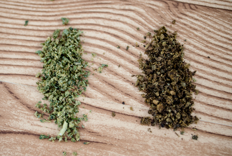 Fresh cut cannabis next to cannabis that has been vaped.