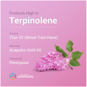 Terpiolene