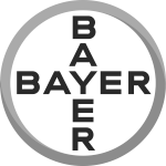 Bayer Grey